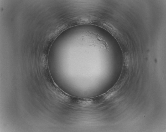 X0000071850318200607141756