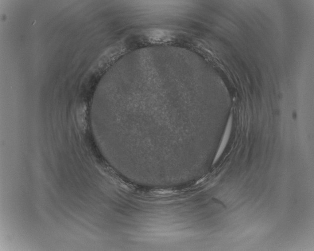 X0000071850319200607141756