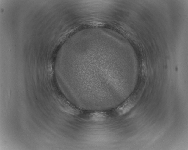 X0000071850320200607141756