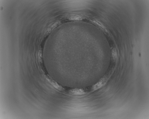 X0000071850322200607141756