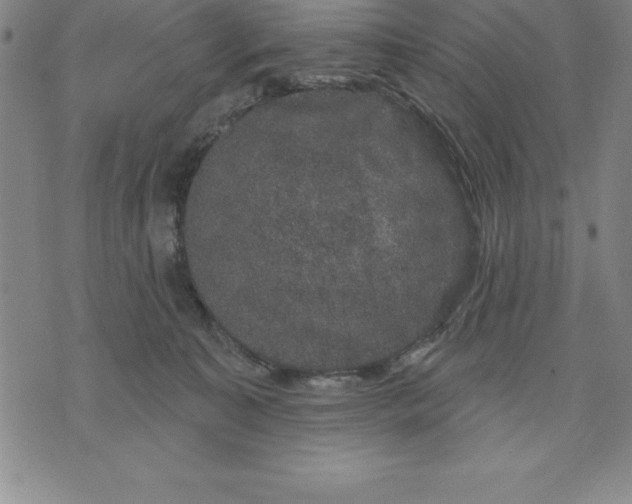 X0000071850323200607141756