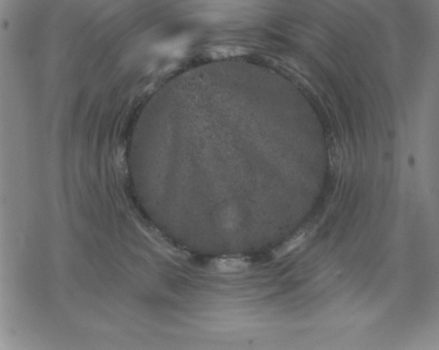 X0000071850327200607141756