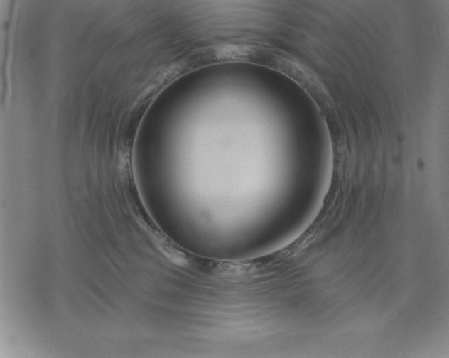 X0000071850329200607141756