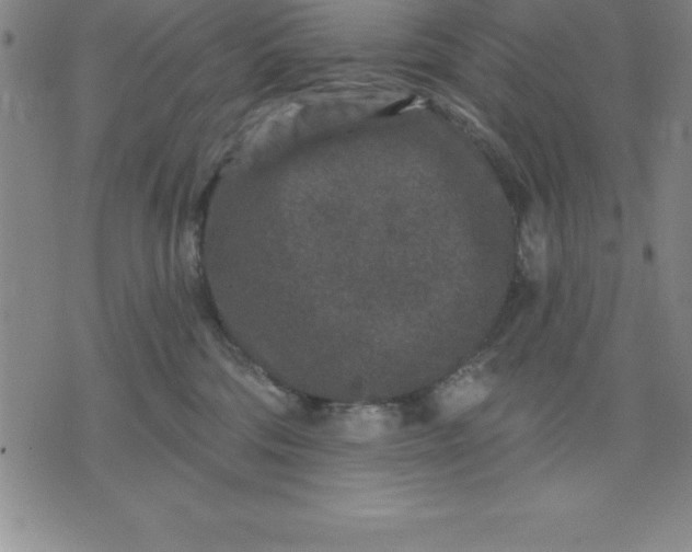 X0000071850330200607141756