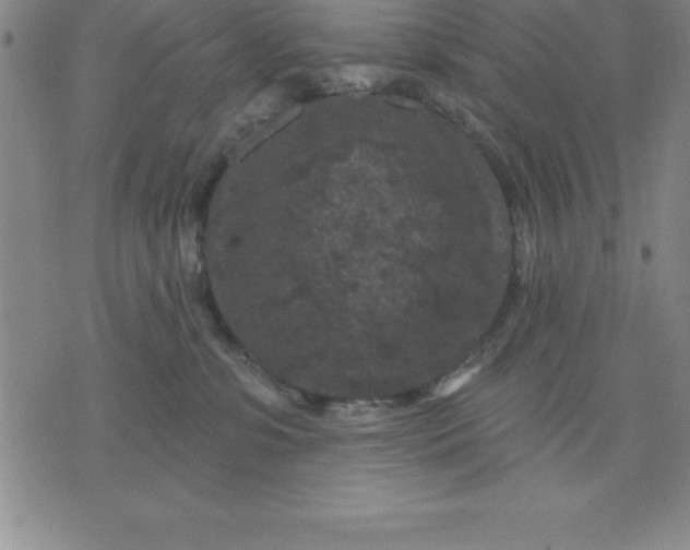 X0000071850331200607141756