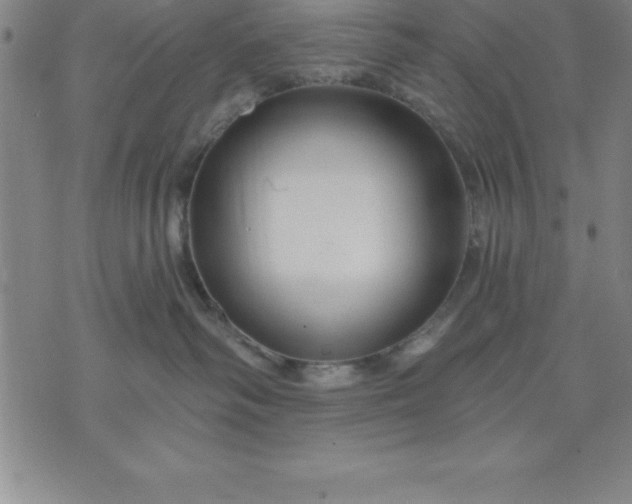 X0000071850334200607141756