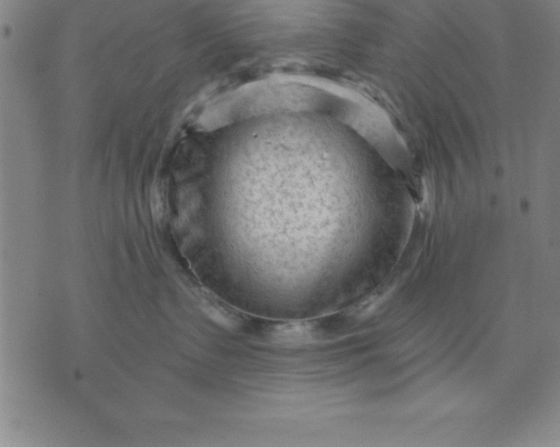 X0000071850335200607141756