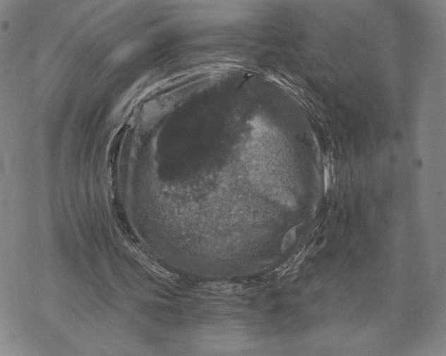 X0000071850339200607141755