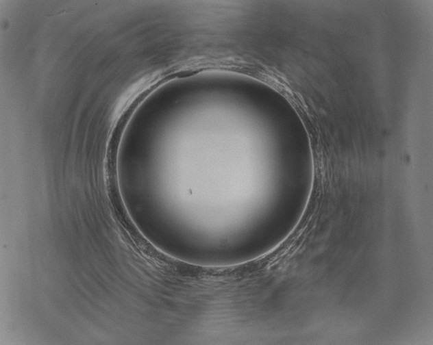 X0000071850340200607141755