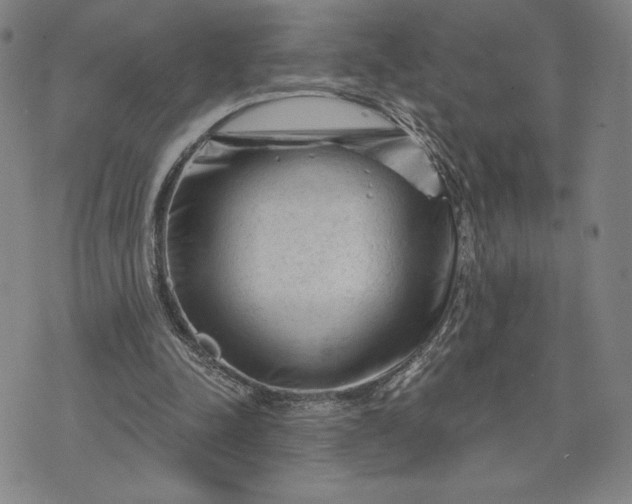 X0000071850342200607141755