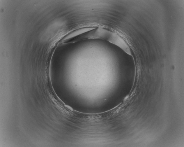 X0000071850345200607141756