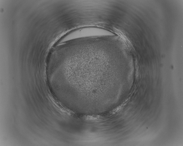 X0000071850346200607141756