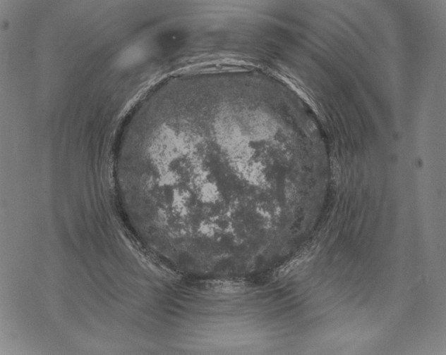 X0000071850347200607141756