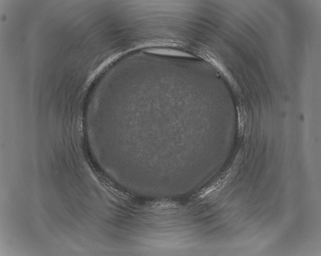 X0000071850348200607141756