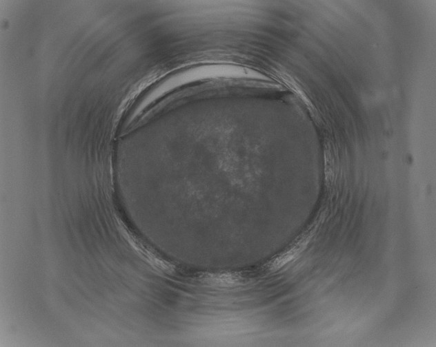 X0000071850349200607141756