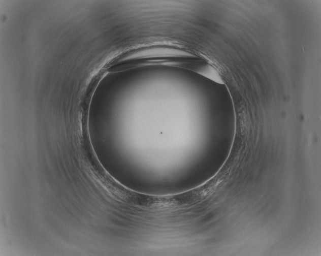 X0000071850350200607141756