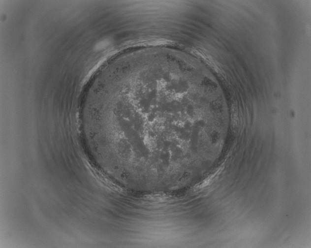 X0000071850351200607141756