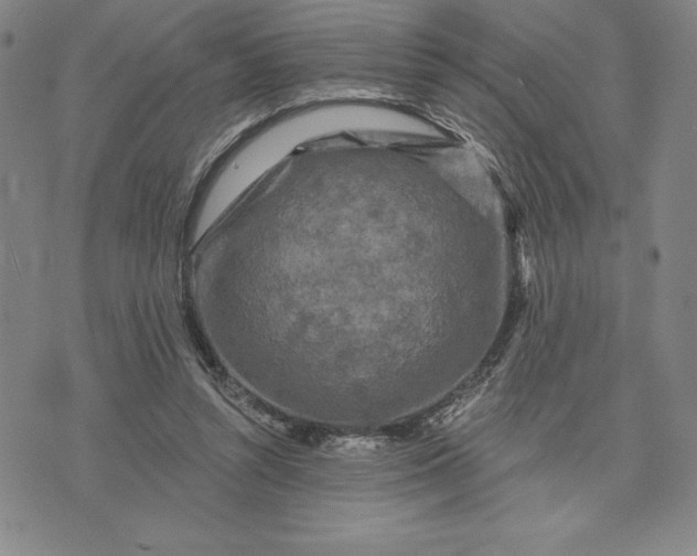 X0000071850352200607141756