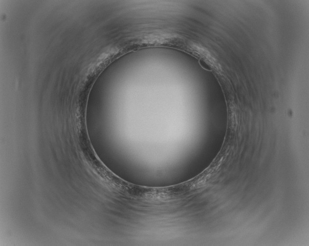 X0000071850354200607141756