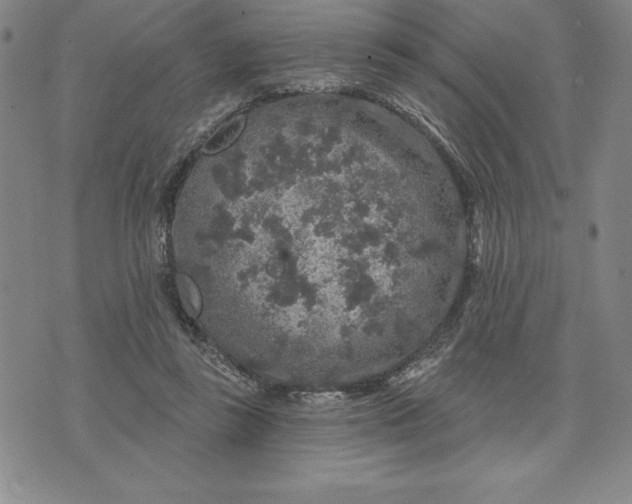 X0000071850355200607141756