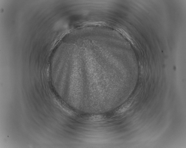 X0000071850357200607141756