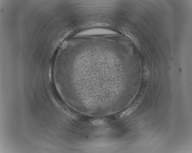 X0000071850358200607141756