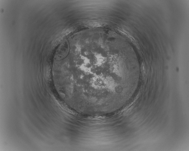 X0000071850359200607141756