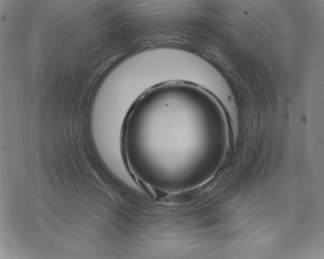 X0000071850360200607141756