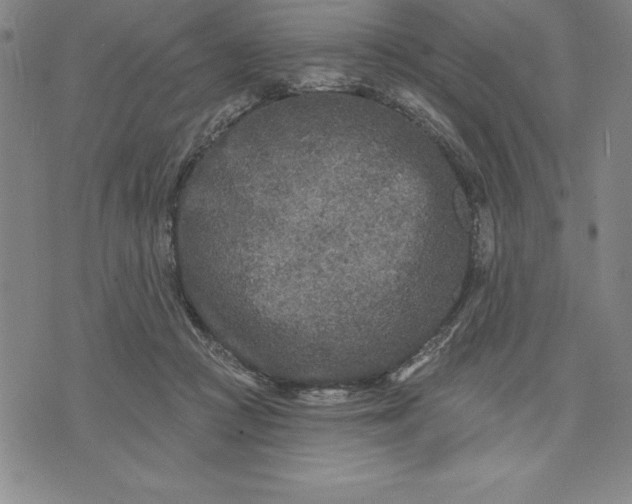 X0000071850361200607141756