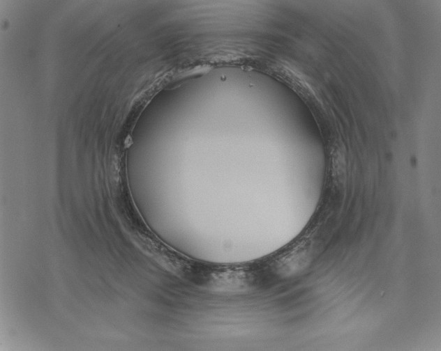 X0000071850362200607141756