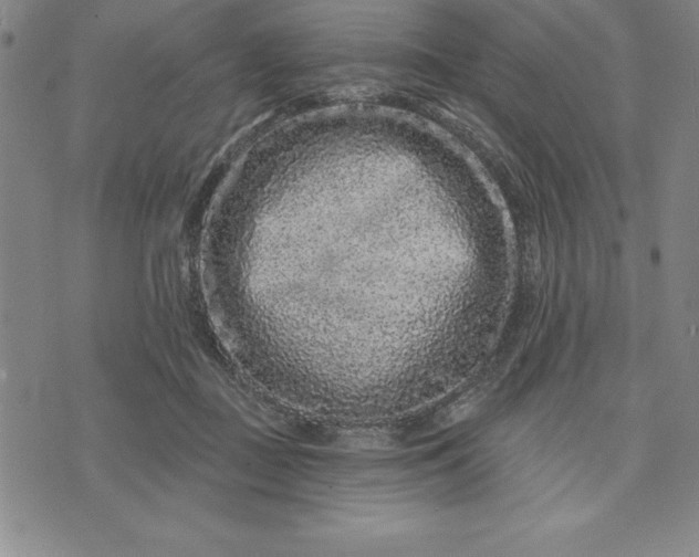 X0000071850363200607141756