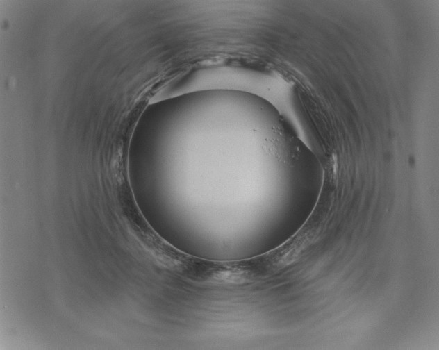 X0000071850364200607141756