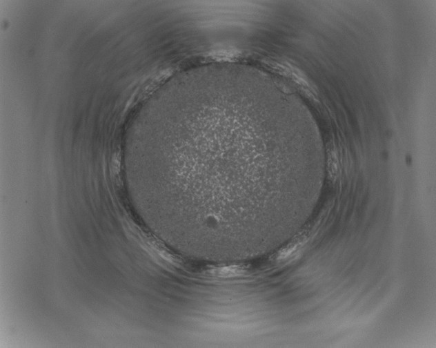 X0000071850365200607141756