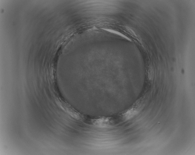 X0000071850366200607141756