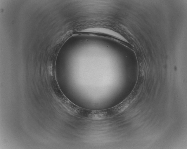 X0000071850368200607141756