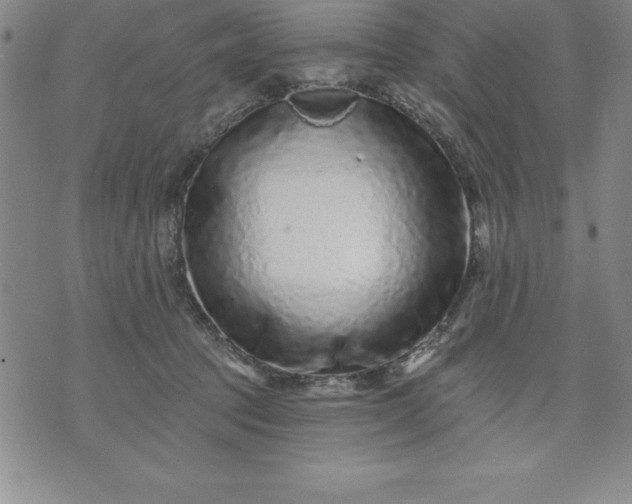 X0000071850369200607141756