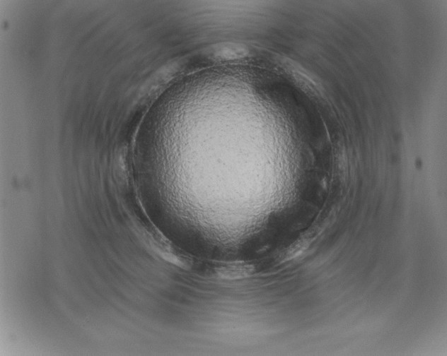 X0000071850373200607141756