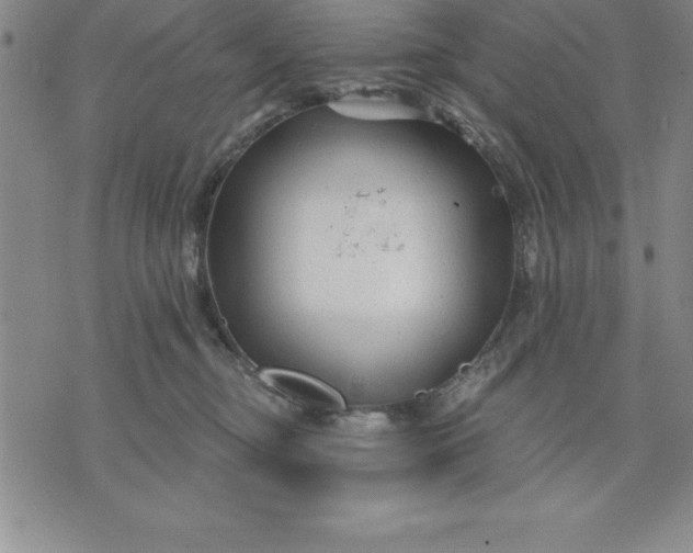 X0000071850374200607141756