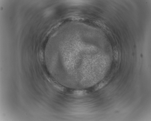 X0000071850375200607141756