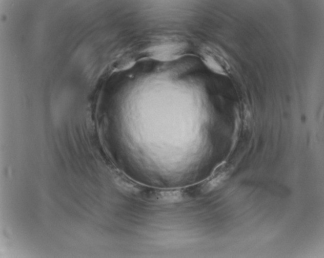 X0000071850377200607141756