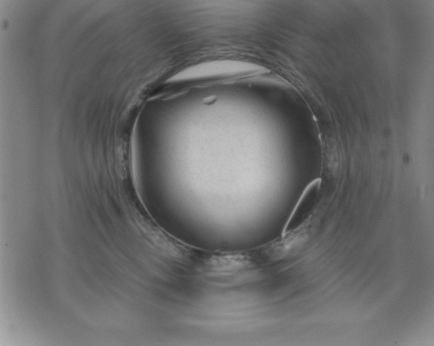 X0000071850378200607141756