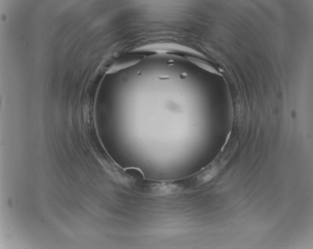 X0000071850379200607141756