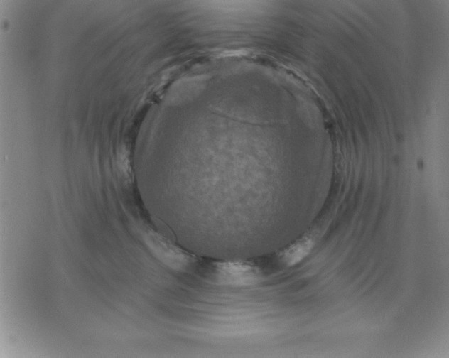 X0000071850380200607141756