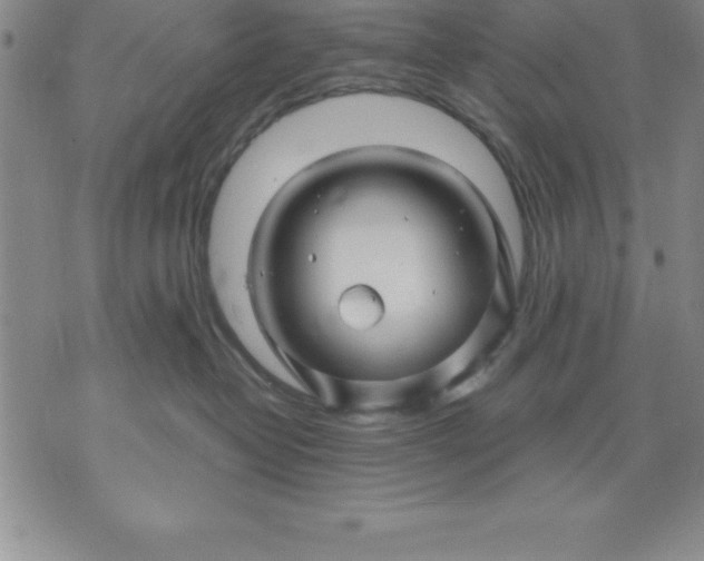 X0000071850382200607141756