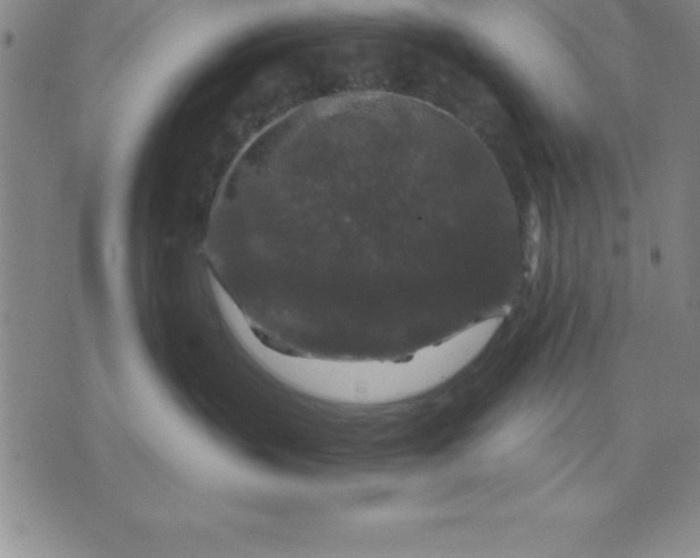 X0000071850383200607141756