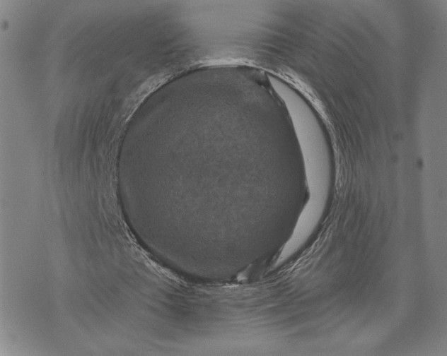 X0000071850385200607141755