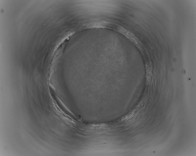 X0000071850386200607141755