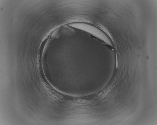 X0000071850387200607141755