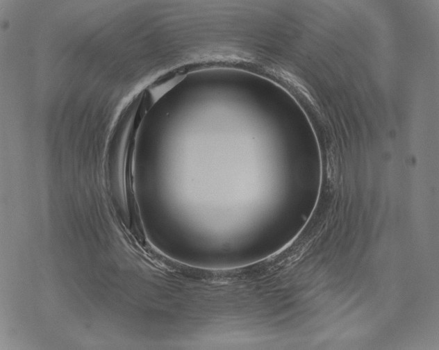 X0000071850388200607141755