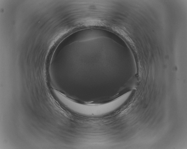 X0000071850391200607141755